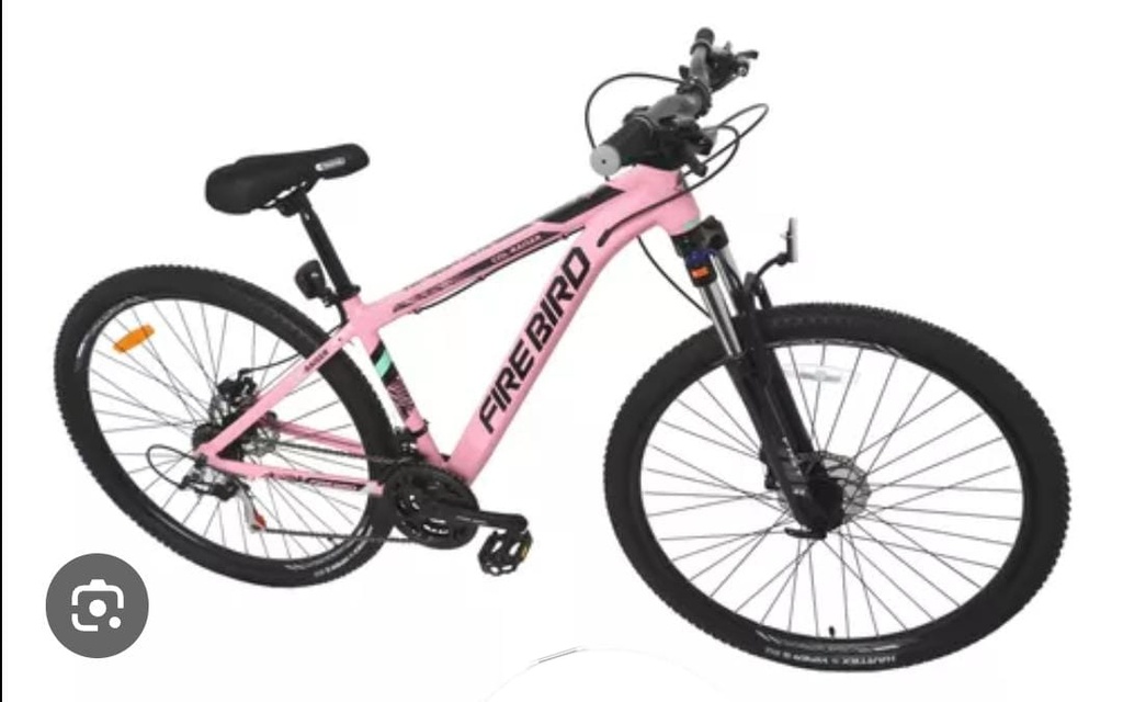 Bicicleta Fire Bird R29 (C-AL)
