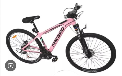 Bicicleta Fire Bird R29 (C-AL)